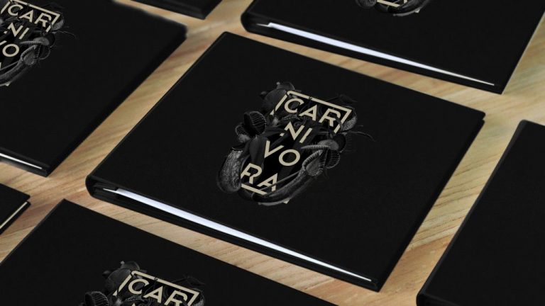 ibienvenid 1 768x432