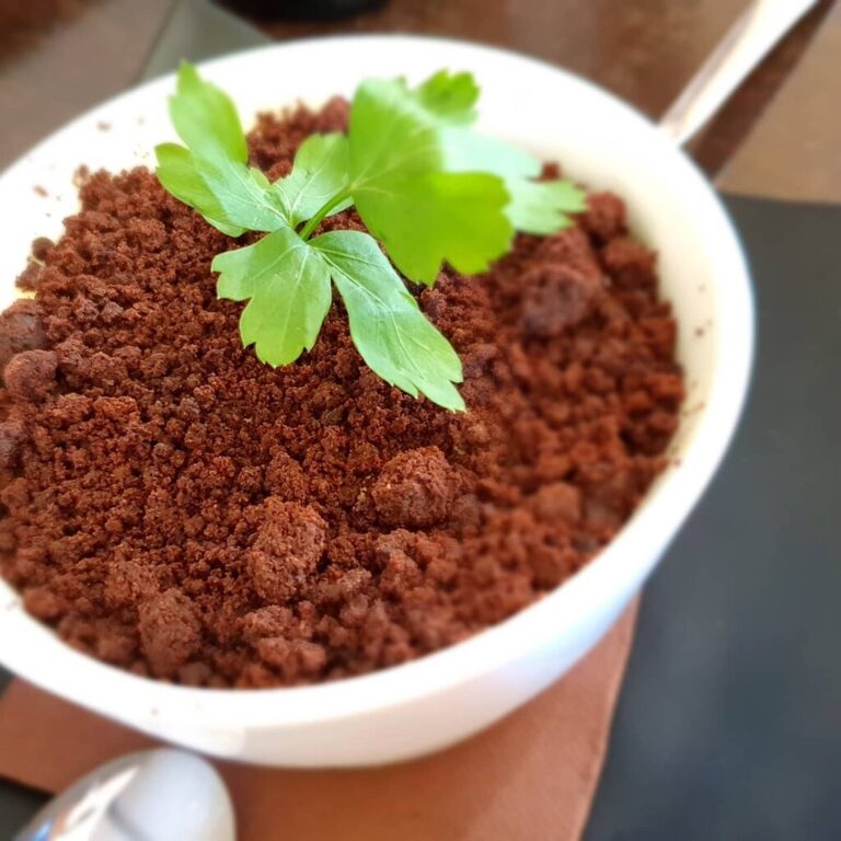 img 20210321 104537 471 2 768x768