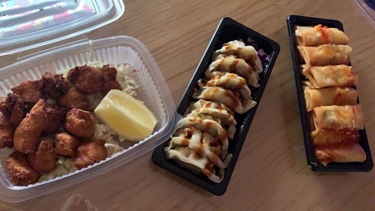 tanuki san japones 3 768x432