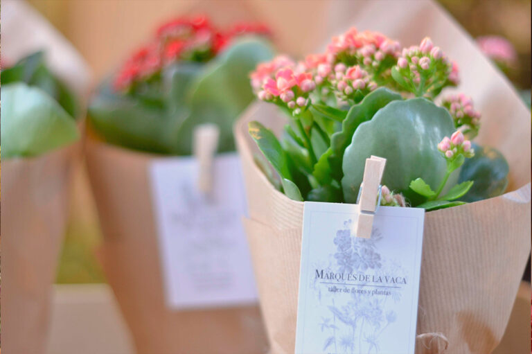 1679678271 marques de la vaca 2 768x511