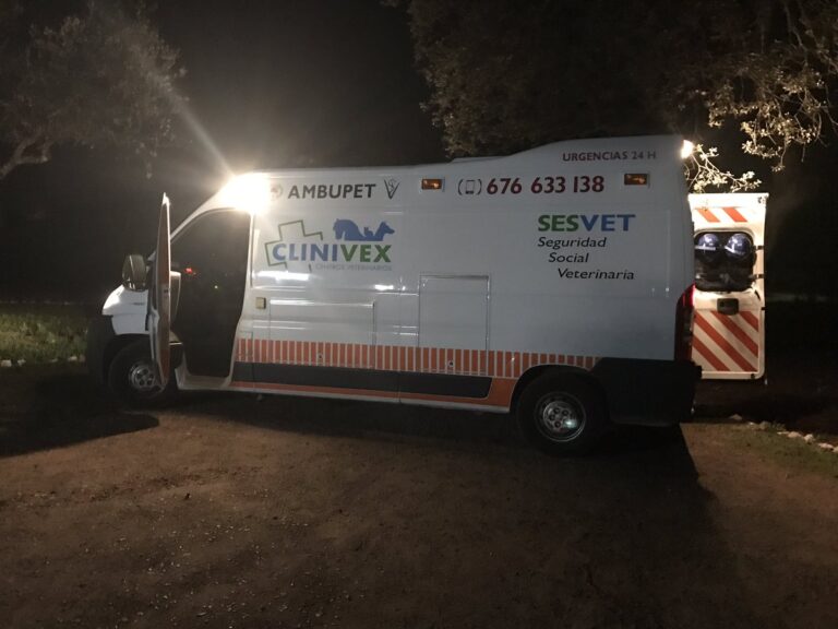clinivex ambulancia 768x576