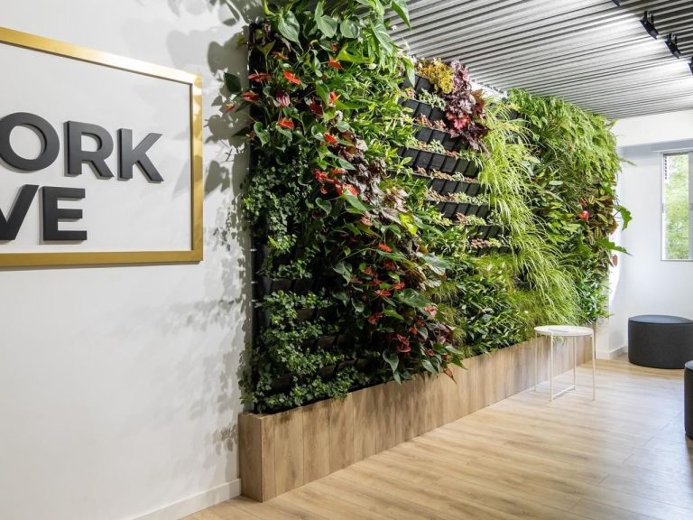 worklive coworking badajoz 0002 standard 768x576