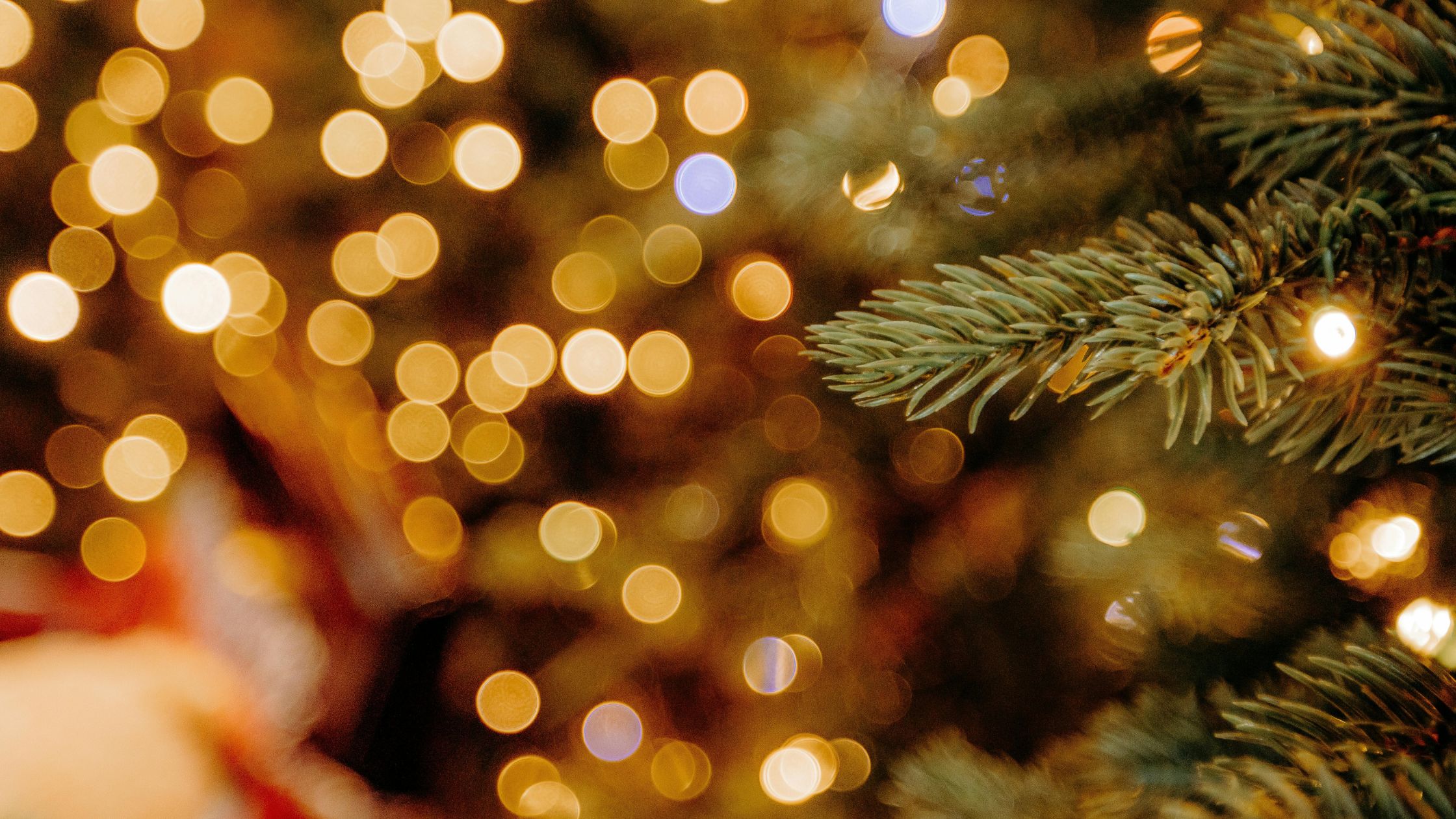 La Navidad dispara la facturación del sector servicios en Badajoz